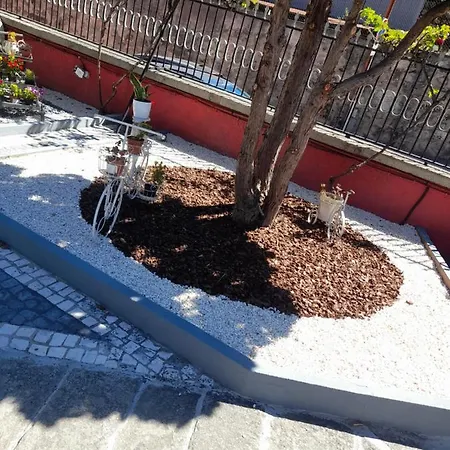 Guest house Al Pitoes Porto